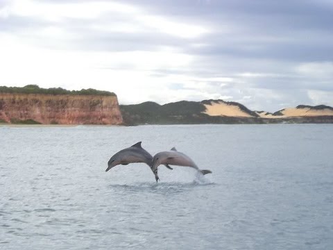 Praia